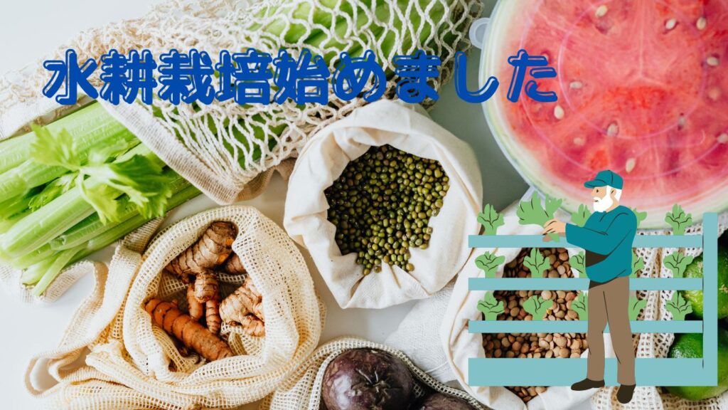 水耕栽培はじめました