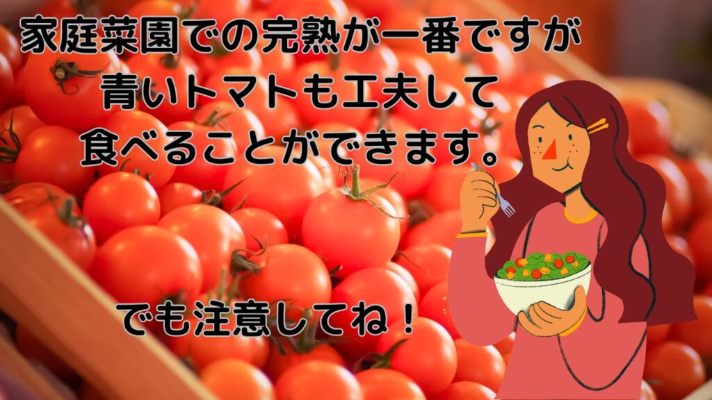 家庭菜園での完熟が一番ですが青いトマトも工夫して食べることができます。
でも注意してください。
