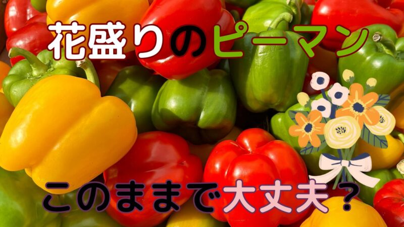 離さカリのピーマンはそのままでいいの？