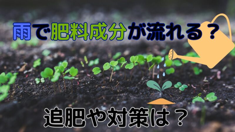 追肥が必要？