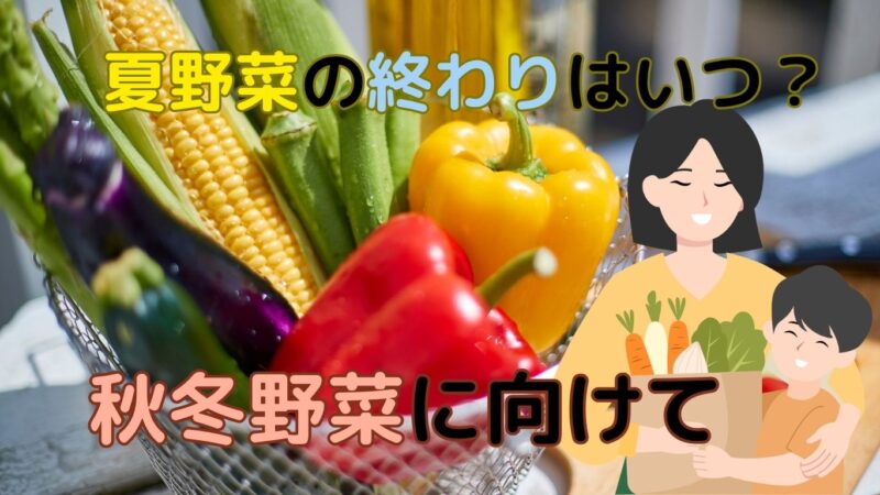 夏の終わりの撤去のポイント